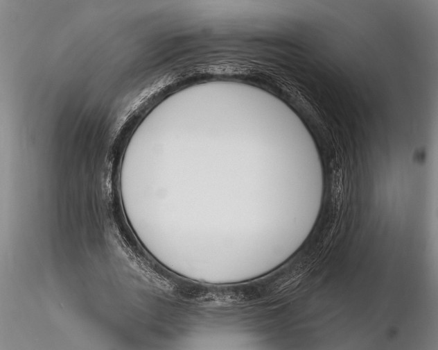 X0000116150727200912141156