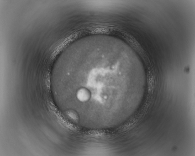 X0000116150729200912141156