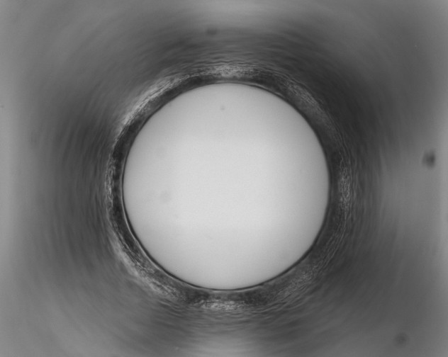 X0000116150730200912141156