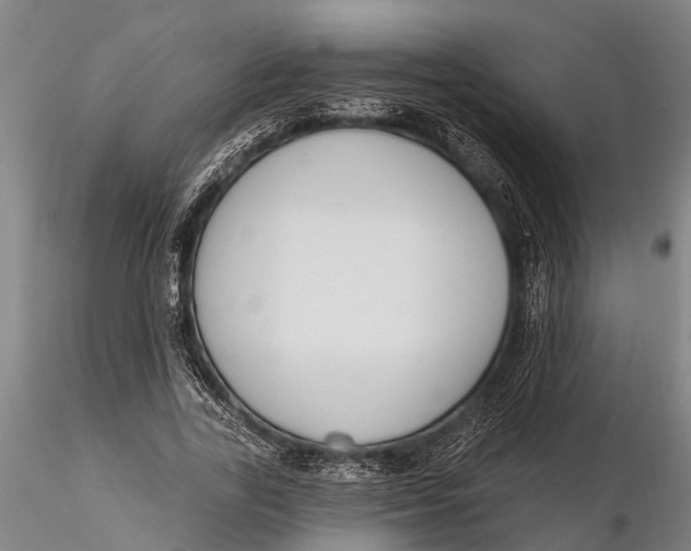 X0000116150731200912141156