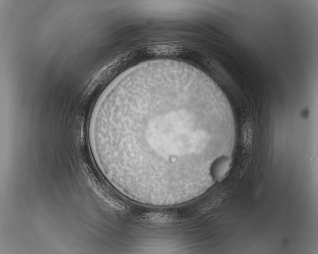 X0000116150733200912141157