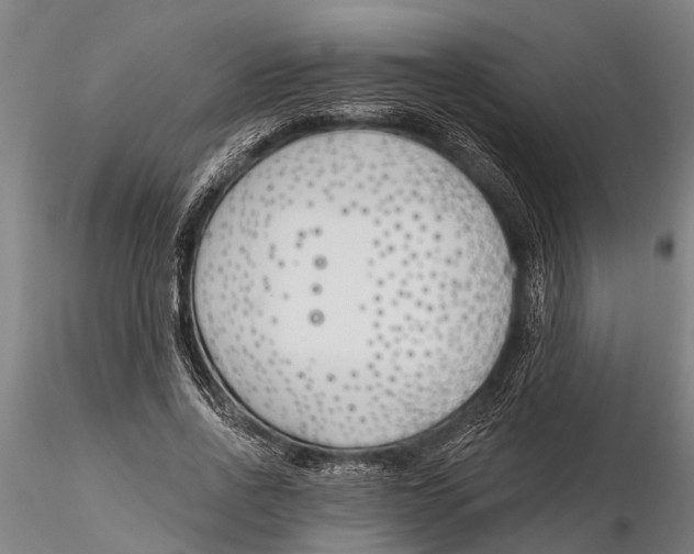 X0000116150734200912141157