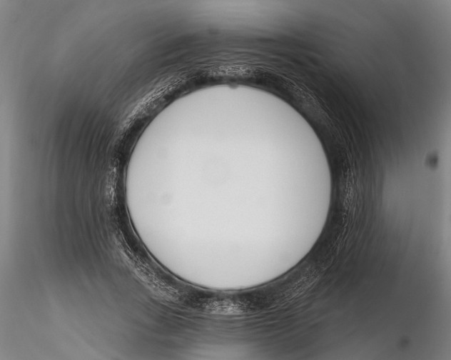 X0000116150735200912141157