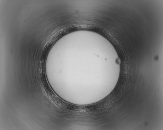 X0000116150738200912141157