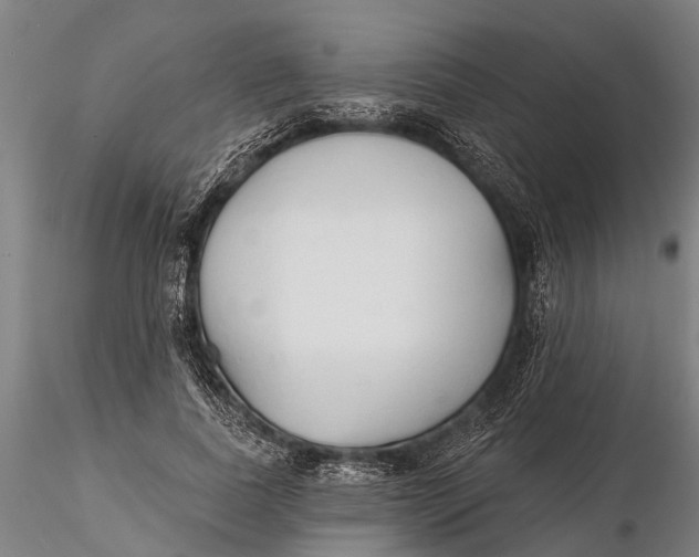 X0000116150739200912141157