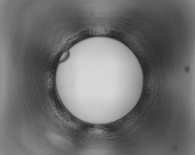 X0000116150743200912141157