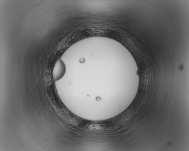 X0000116150751200912141157