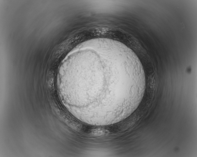 X0000116150754200912141157