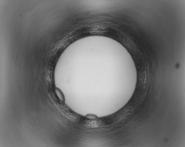 X0000116150755200912141157