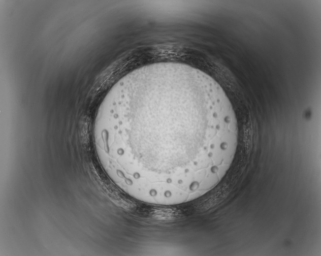 X0000116150757200912141157