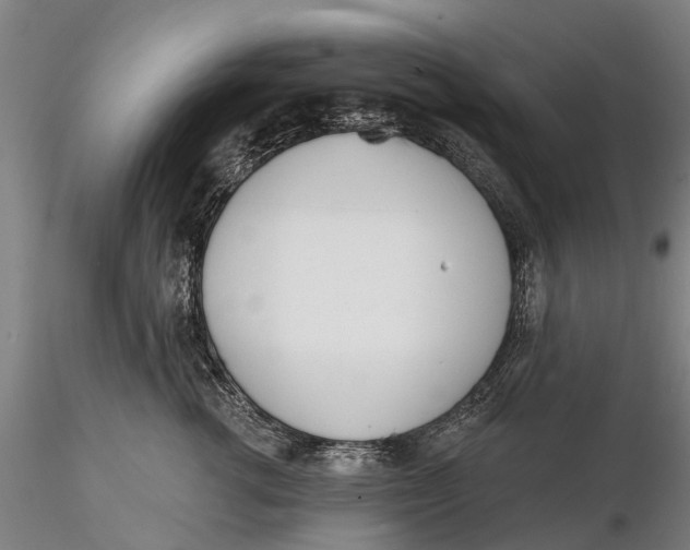 X0000116150762200912141157