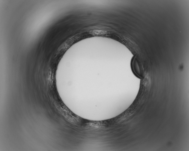 X0000116150763200912141157