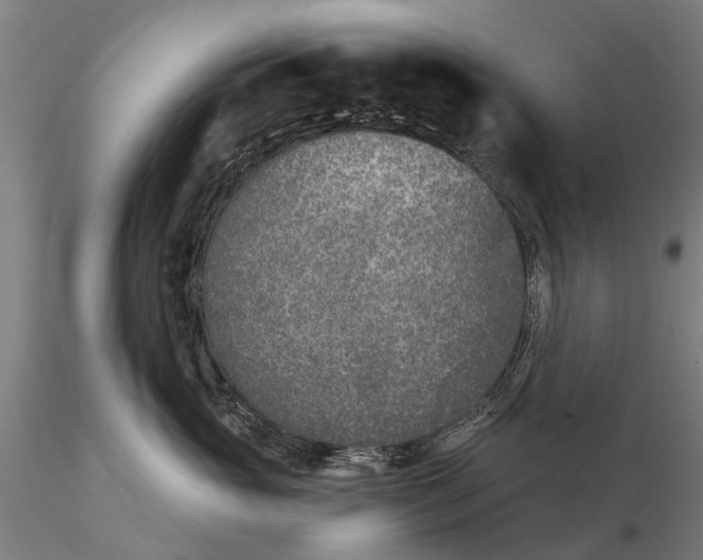 X0000116150765200912141157