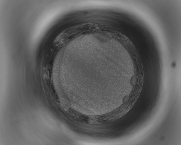 X0000116150766200912141157