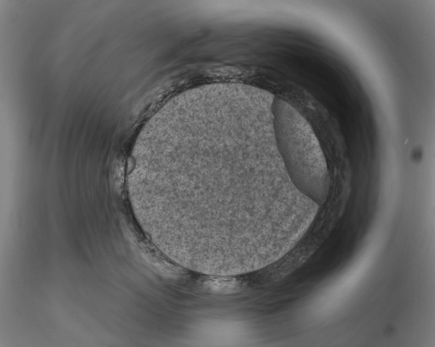 X0000116150767200912141157