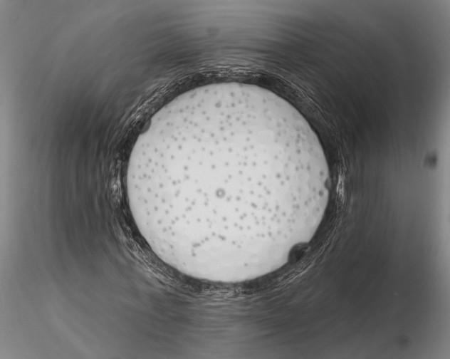 X0000116150771200912141156