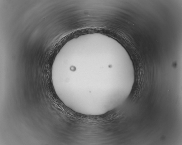 X0000116150773200912141156