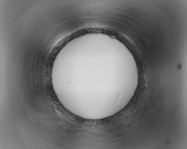 X0000116150775200912141156