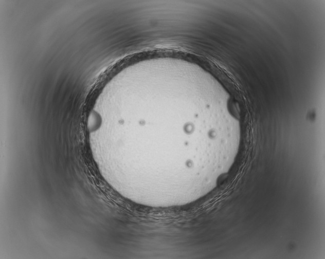 X0000116150776200912141156