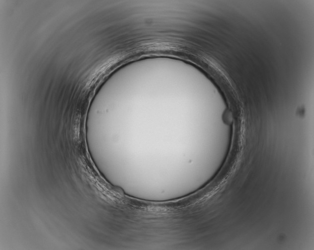 X0000116150777200912141156