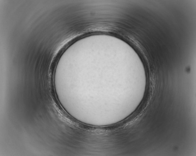 X0000116150779200912141156