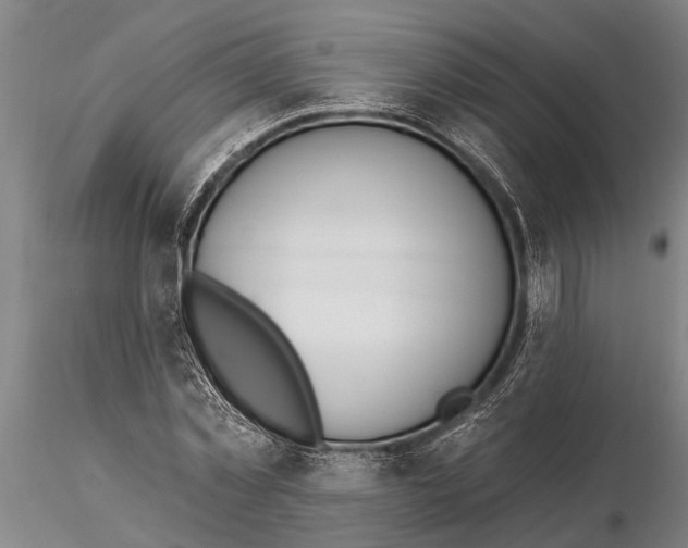 X0000116150781200912141156