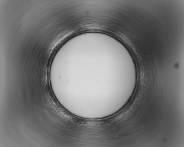 X0000116150782200912141156