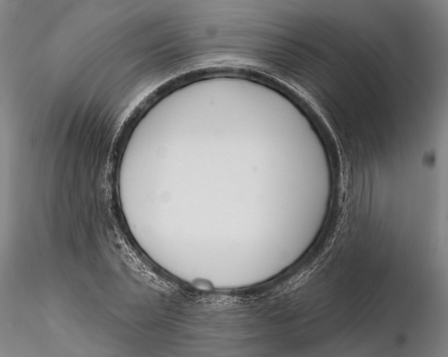 X0000116150783200912141156