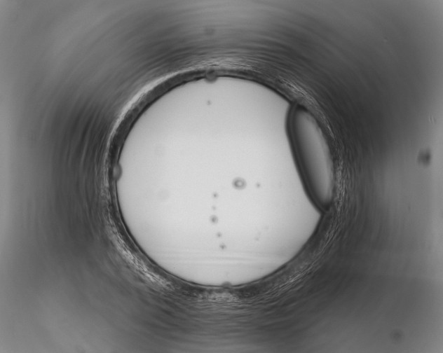 X0000116150784200912141156