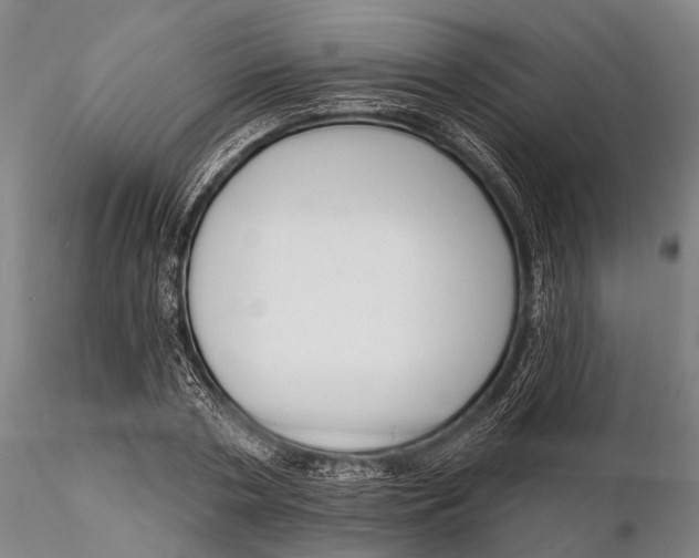 X0000116150786200912141156