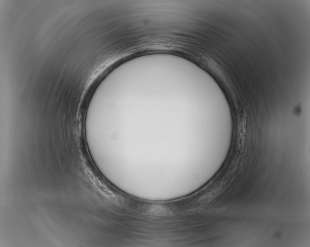 X0000116150787200912141156