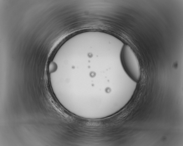 X0000116150788200912141156