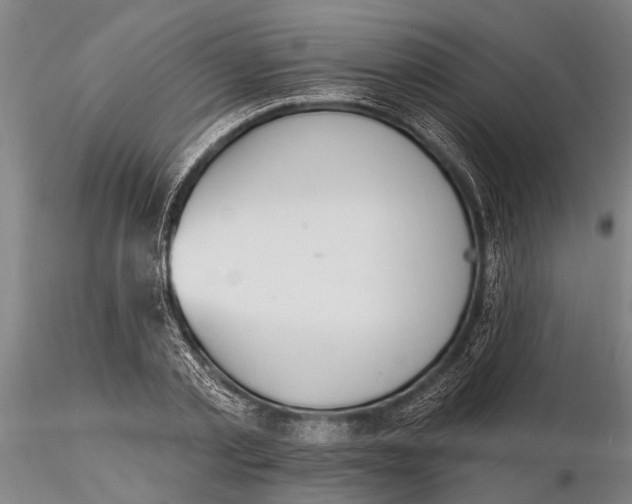 X0000116150789200912141156