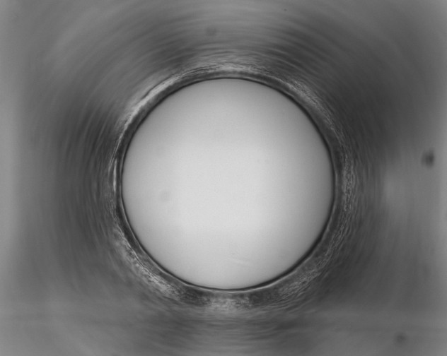 X0000116150790200912141156