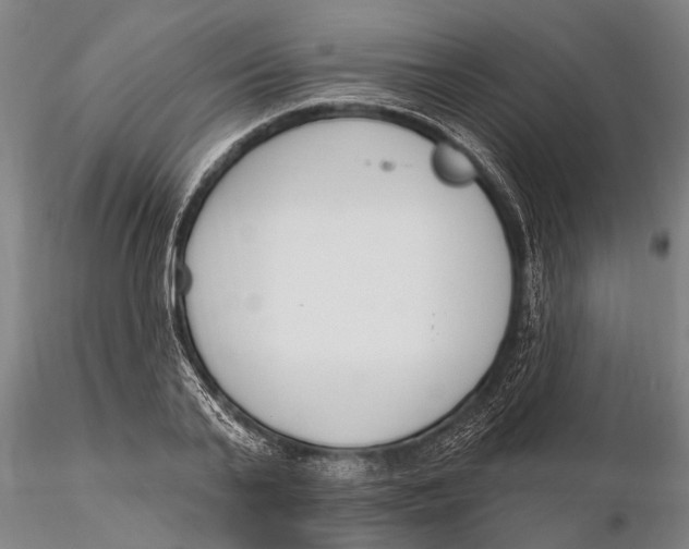 X0000116150791200912141156