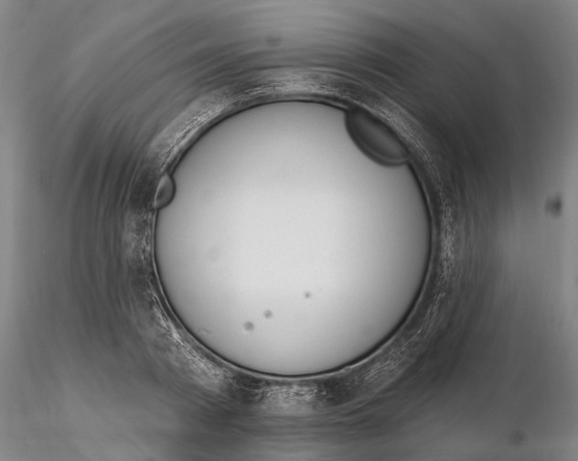 X0000116150793200912141156