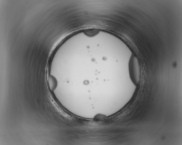 X0000116150796200912141156