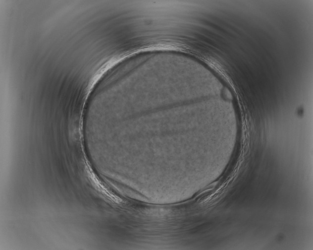 X0000116150797200912141156