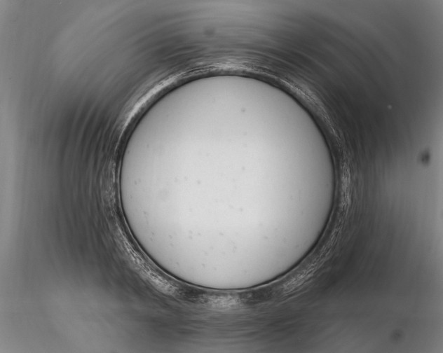 X0000116150798200912141156