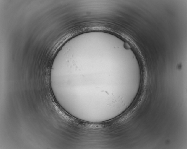 X0000116150801200912141156