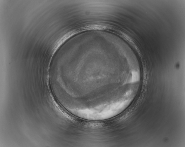 X0000116150802200912141156