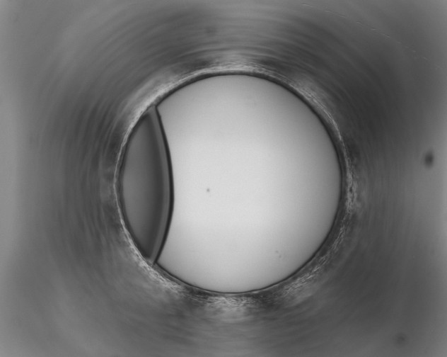 X0000116150805200912141156