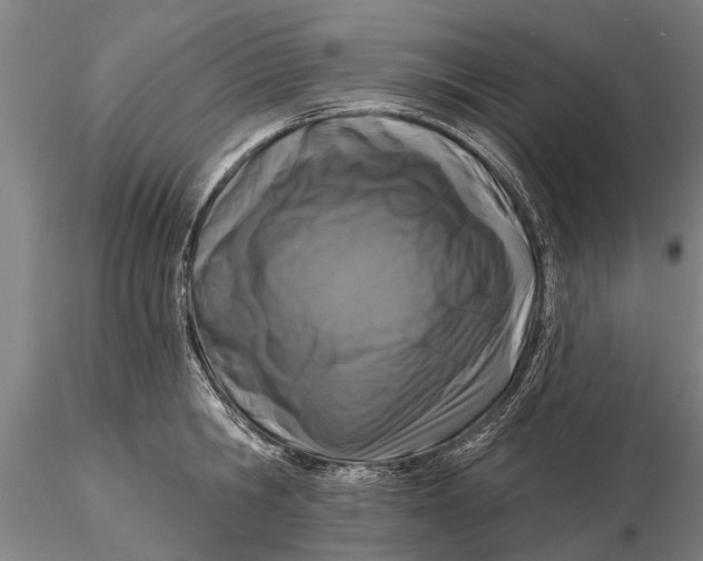 X0000116150806200912141156