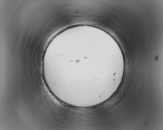 X0000116150807200912141156