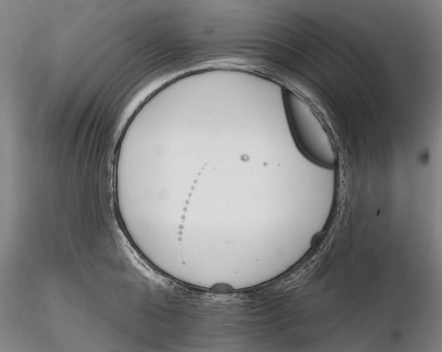 X0000116150808200912141156