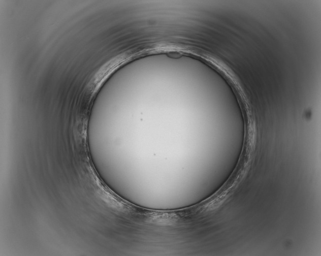 X0000116150809200912141156