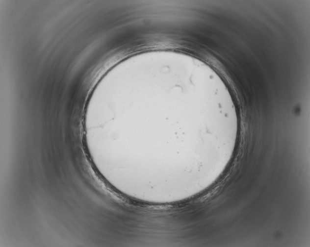 X0000116150810200912141156