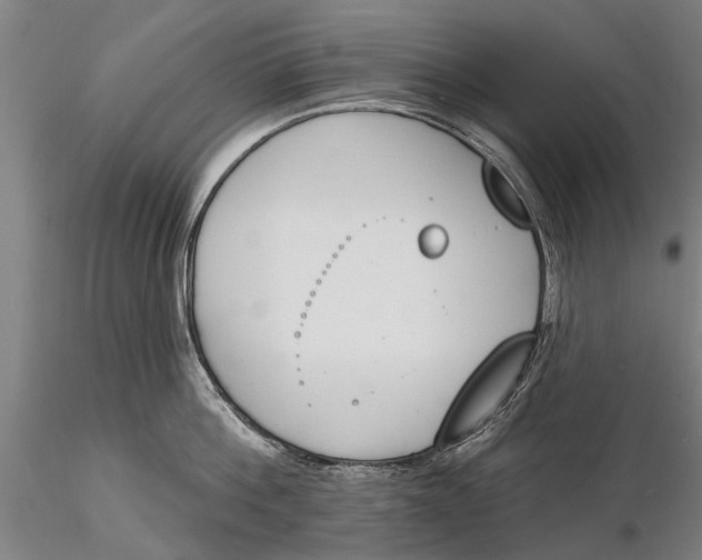 X0000116150812200912141156