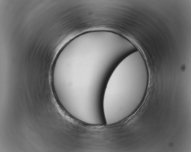 X0000116150813200912141156