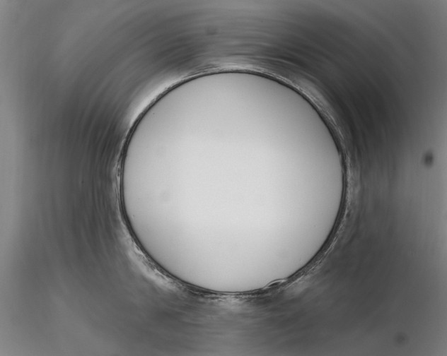 X0000116150814200912141156